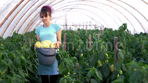 女农民拿着装满新鲜甜椒的桶视频的预览图
