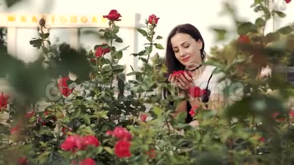 一个年轻的女人在城市花坛里享受美丽的玫瑰的味道在后台女孩丝戴拉的名字视频的预览图