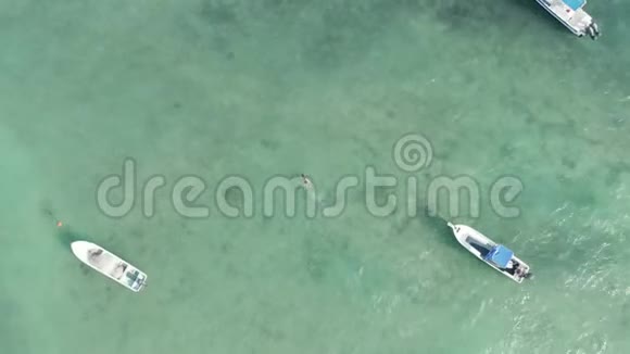追踪一名游泳者在德尔卡门海岸附近的船厂视频的预览图