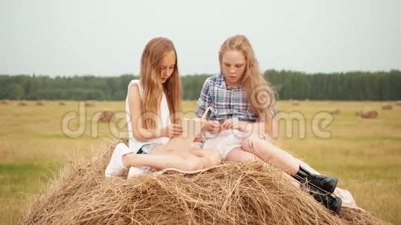 十几岁的女孩在度假时在乡下的干草堆上看书令人惊讶的女孩在干草堆上看书视频的预览图
