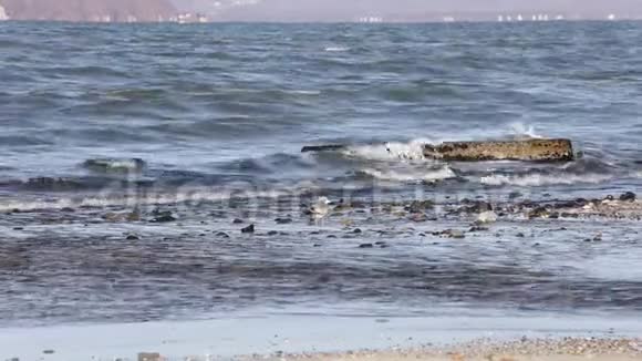 海浪冲击海滩小河流入大海独自一只海鸥站在海和河之间的波浪背景视频的预览图