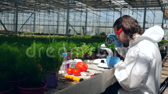 雄性生物学家在温室里与植物一起工作时使用显微镜视频的预览图