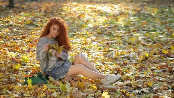 美丽浓密卷曲的红色头发的女孩坐在黄色秋叶毯上的轮廓灯光下收集着花束视频的预览图