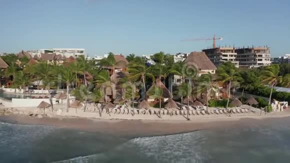 远离加勒比海上的一组棕榈树4k无人机足迹视频的预览图