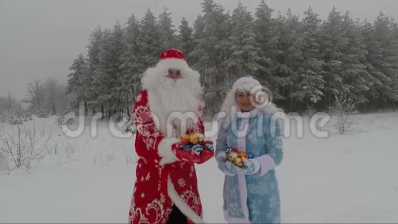 快乐快乐的圣诞老人在冬日的松林里玩得开心视频的预览图