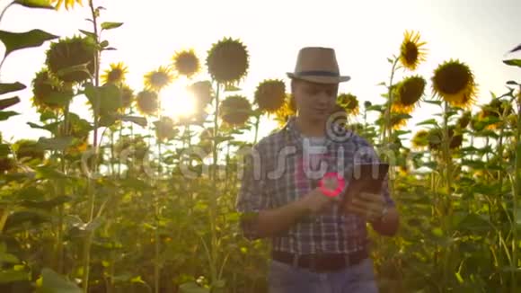 农民在田间使用现代技术一个戴着帽子的人在日落时分抱着一个视频的预览图