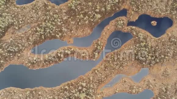 拉脱维亚巨大沼泽的空中俯视图Kemeri木板路是Kemeri国家公园著名的旅游目的地美丽美丽视频的预览图