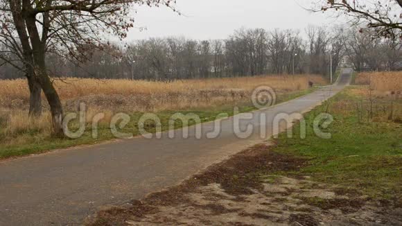 秋天公园里空旷的柏油路视频的预览图