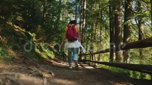 女孩在山林中漫步视频的预览图
