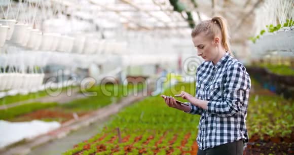 农业企业在温室工作的女农民视频的预览图