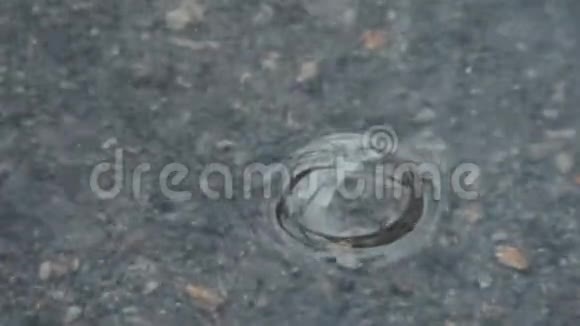 雨中路面上的水坑水泡漂浮视频的预览图