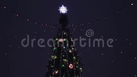 在德尼普罗的格洛巴傍晚公园的新年树用LED旋转设计视频的预览图