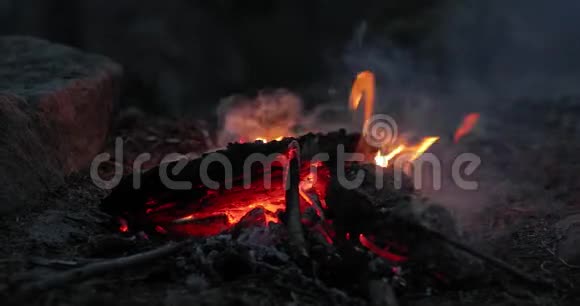 营火火焰黄昏的天空视频的预览图