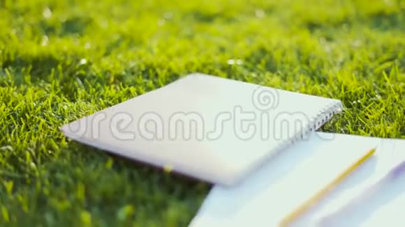 特写学生笔记本趴在草地上软背光4K视频的预览图