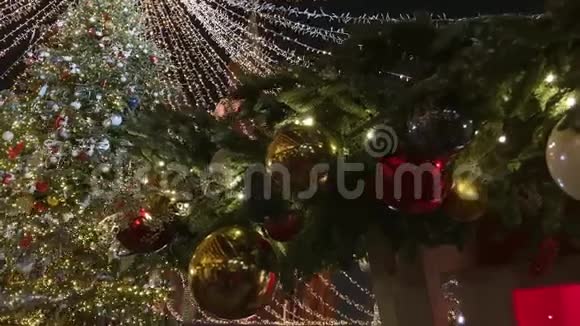 户外装饰的高大圣诞树视频的预览图