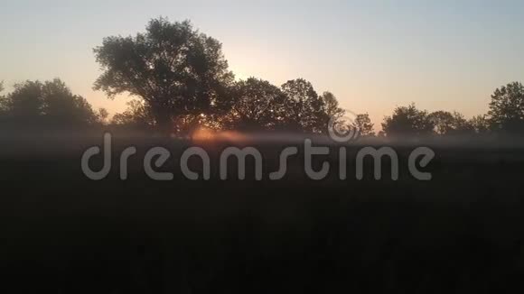 在雾海和黎明的太阳上沿着大地飞翔视频的预览图