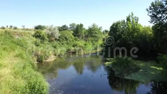 俄罗斯野生动物清澈的河流和一个小瀑布空中摄影视频的预览图
