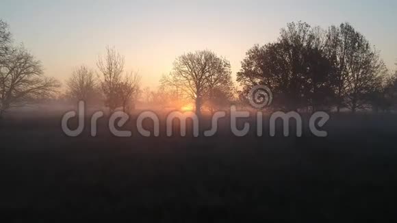 秋天的黎明懒洋洋的太阳雾霜在卡车上平稳滑行视频的预览图