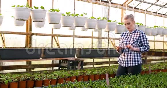农业企业在温室工作的女农民视频的预览图