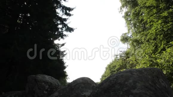 森林里的人在岩石上跳跃视频的预览图