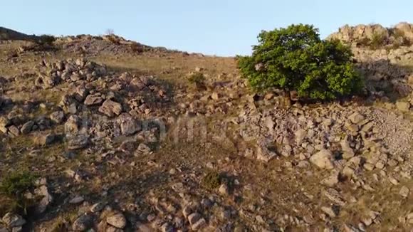 古山落基地区麦金山罗马尼亚视频的预览图