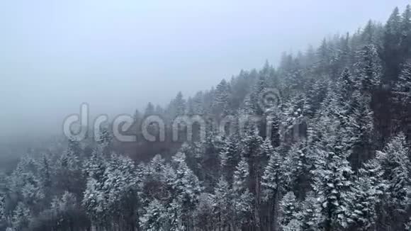 云中的冬山雪林视频的预览图