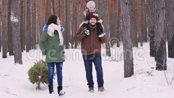 一个幸福的家庭漫步在冬天的森林里父亲背着一个女儿带着雪橇视频的预览图