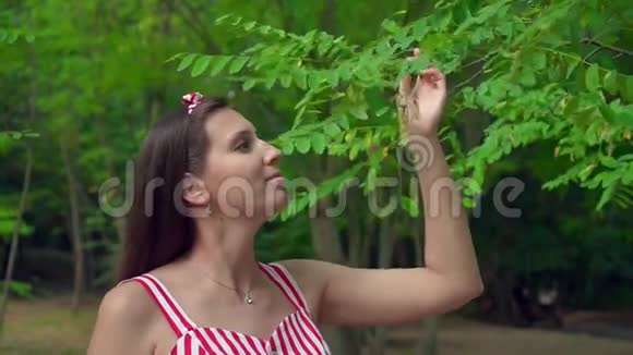 美丽的女孩用树上的叶子抚摸自己视频的预览图