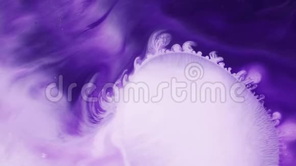 白色和紫色颜料混合抽象背景片段视频的预览图