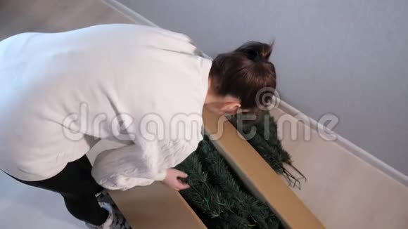 女人从盒子里拿出人造圣诞树树枝视频的预览图