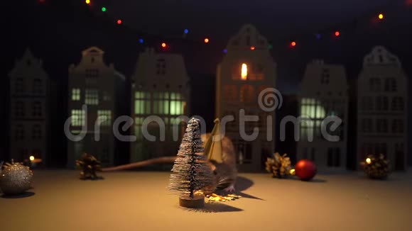可爱的家鼠戴着节日的金帽子在圣诞树附近吃种子视频的预览图