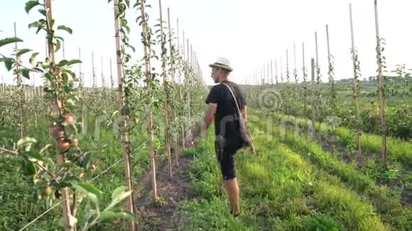 穿着休闲黑衣服戴帽子的年轻农民沿着他的花园散步检查苹果树视频的预览图