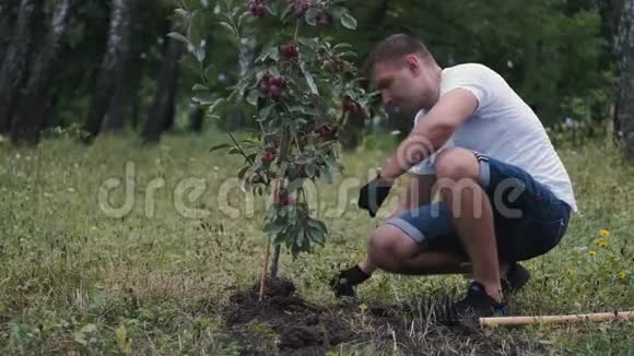 这人正在一棵最近种的树下种地视频的预览图