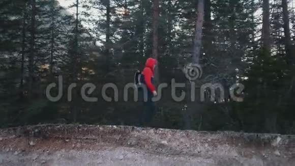 一个年轻人走在岩石路上背着背包和吉他在森林的背景下行走视频的预览图