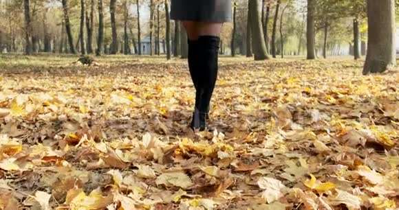 年轻女子走在秋天的公园里女孩在阳光明媚的温暖日子里穿过秋天的城市公园黄色和黄色视频的预览图