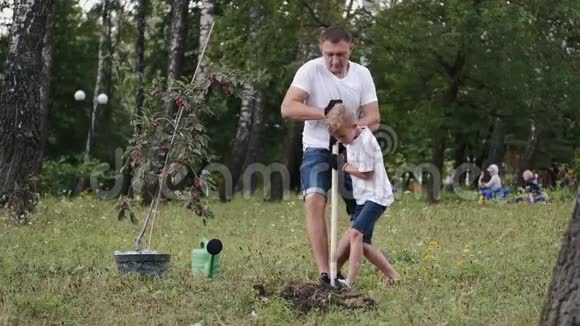 欧洲男孩和爸爸正在挖一个树洞视频的预览图