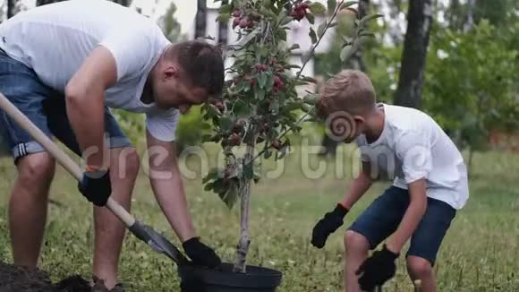 父亲和他的儿子正在把泥土从锅里取下来视频的预览图
