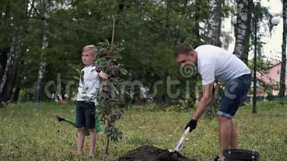 父亲正在把土壤扔到一棵幼苗下面视频的预览图