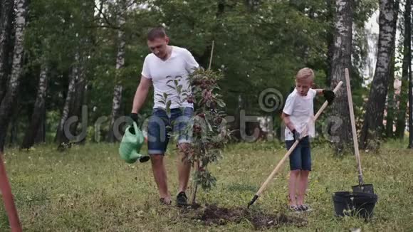 父母和儿子在公园里种了一棵李子树视频的预览图