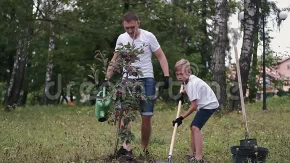 父母和儿子在公园里种了一棵李子树视频的预览图