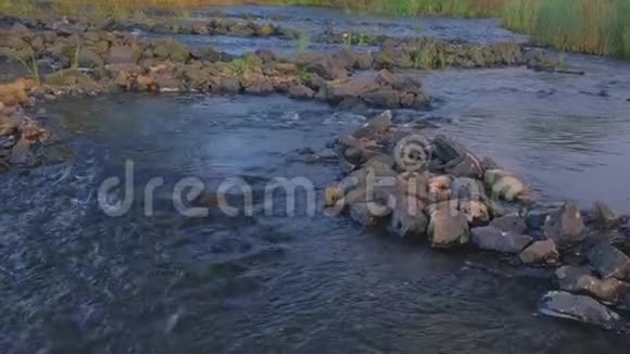 晚上在河上秋天一条条带着游泳叶子和湿石头的河流视频的预览图
