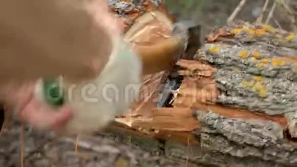 伐木工人把树砍到底视频的预览图