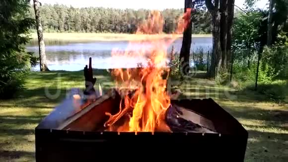 烤架烧柴火的慢动作视频视频的预览图