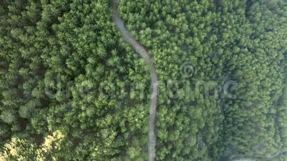 4K湖和森林狭窄路径的空中视频视频的预览图
