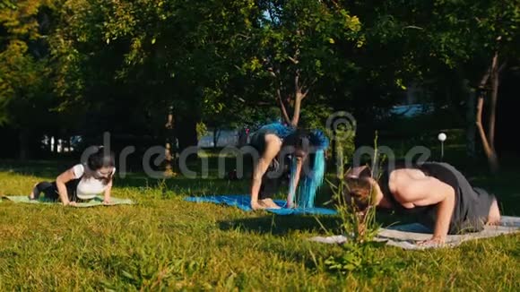 两名年轻女子在阳光明媚的日子和教练在公园里健身趴在垫子上视频的预览图