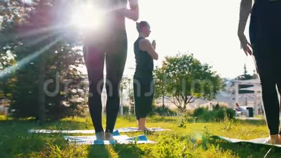 两位年轻女性和教练一起在公园里健身站在户外瑜伽垫上视频的预览图