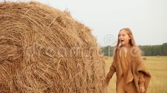 时尚女孩在干草堆背景上摆姿势在农村的收割场上年轻的少女靠在干燥的视频的预览图
