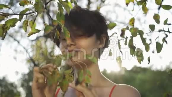 一位留着短发的白种人女孩在阳光下触摸着树早午餐欣赏日落的女人视频的预览图