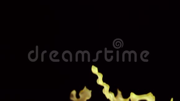 帕斯塔马法丁在黑色背景下飞翔视频的预览图