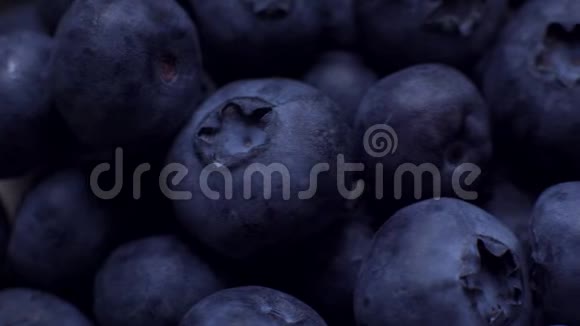 新鲜的蓝莓视频的预览图